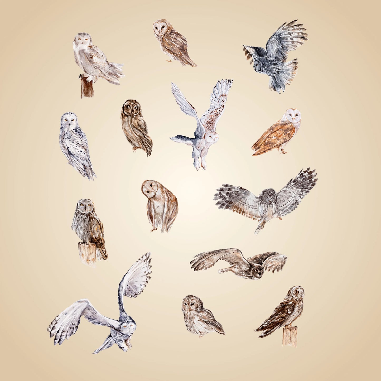 Hogwarts Illustrated Digital Sticker Pack – 123 HP Magic world Stickers Come with Goodnotes, Notability & PNG formats Simple Planner